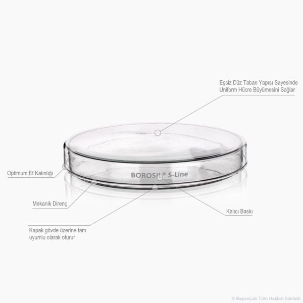 Borosil Cam Petri Kabı 200x30mm S-Line - Petri Kutusu - 10 Adet Toptan