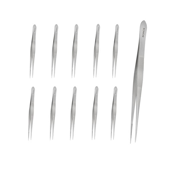 Borox Penset 16 cm Paslanmaz Çelik - Sivri Uç Dişli Cımbız - 10 Adet Toptan