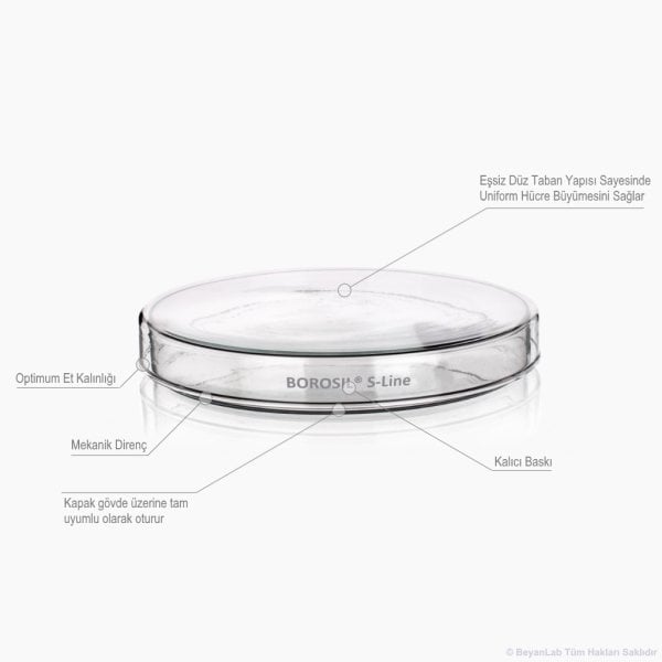 Borosil Cam Petri Kabı 100x20mm S-Line - Petri Kutusu 40Adet