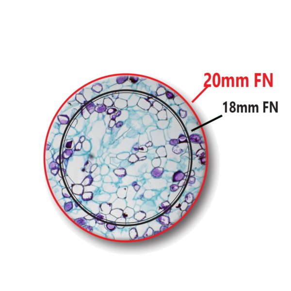 OPTIKA B-292PLi Binoküler Mikroskop 1000x - Araştırma Mikroskobu IOS Sistem