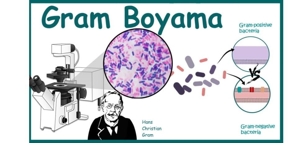 Gram Boyama Nedir? | Gram Boyama Nasıl Yapılır?