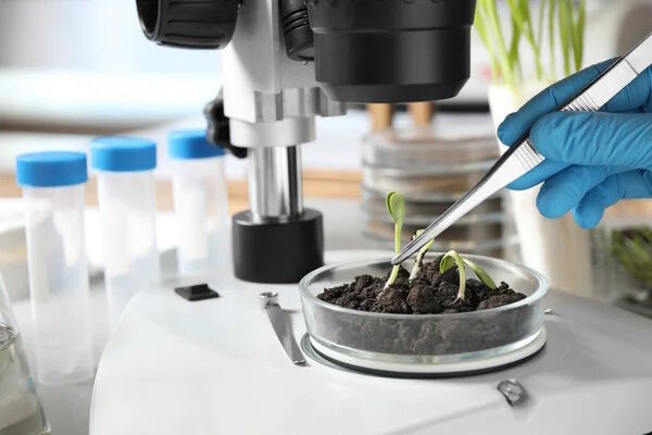 Laboratuvar Pensetleri: Hassasiyet ve Güvenliğin Anahtarı