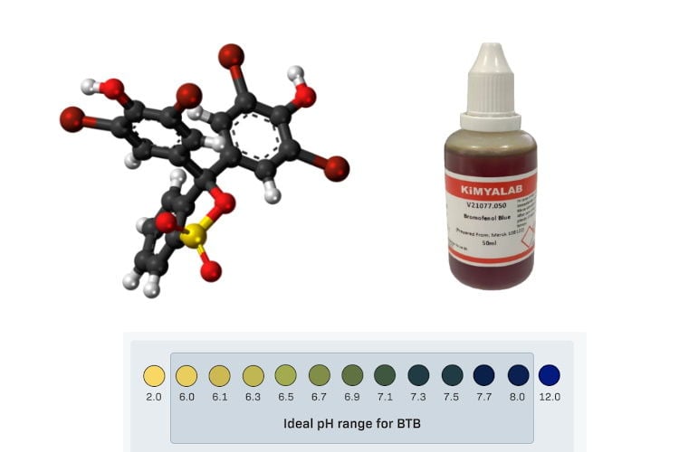 Bromofenol Mavisi Nedir | Bromofenol Mavisi Kullanım Alanları Nedir ?