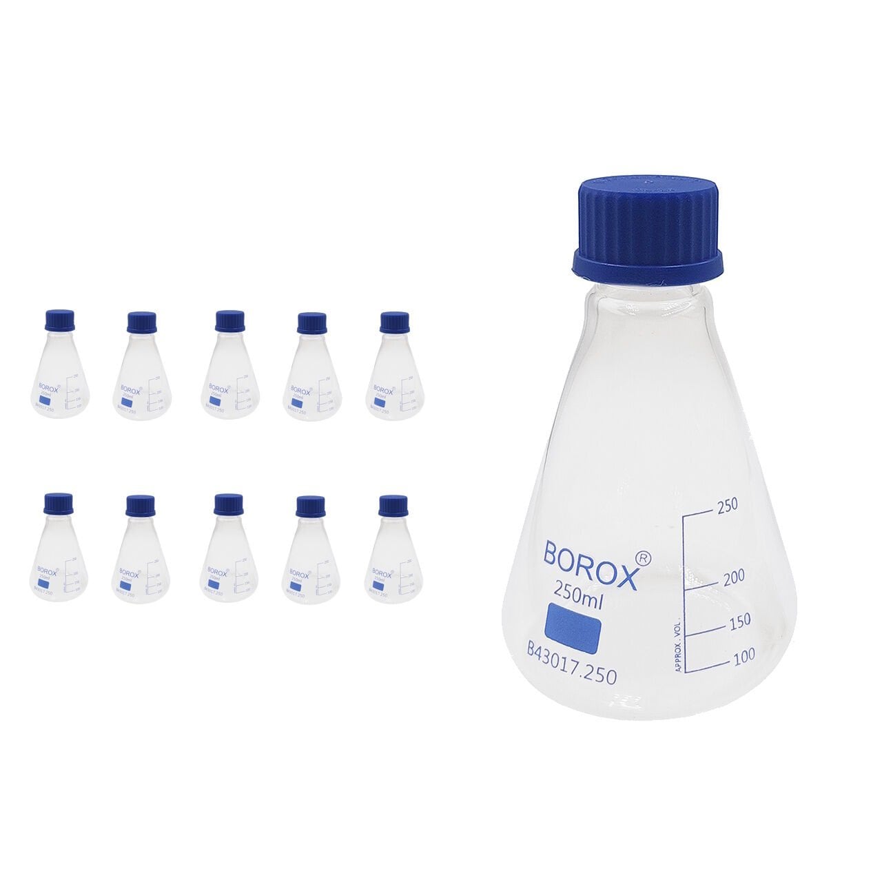 Borox Cam Erlen 250 ml - Erlenmeyer Flask Vida Kapaklı - 10 Adet Toptan