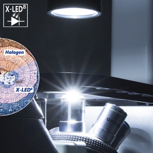 Optika IM-300 Inverted Faz-Kontrast Ters Mikroskop 400x - Trinoküler Mikroskop