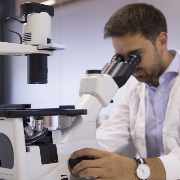 Optika IM-300 Inverted Faz-Kontrast Ters Mikroskop 400x - Trinoküler Mikroskop