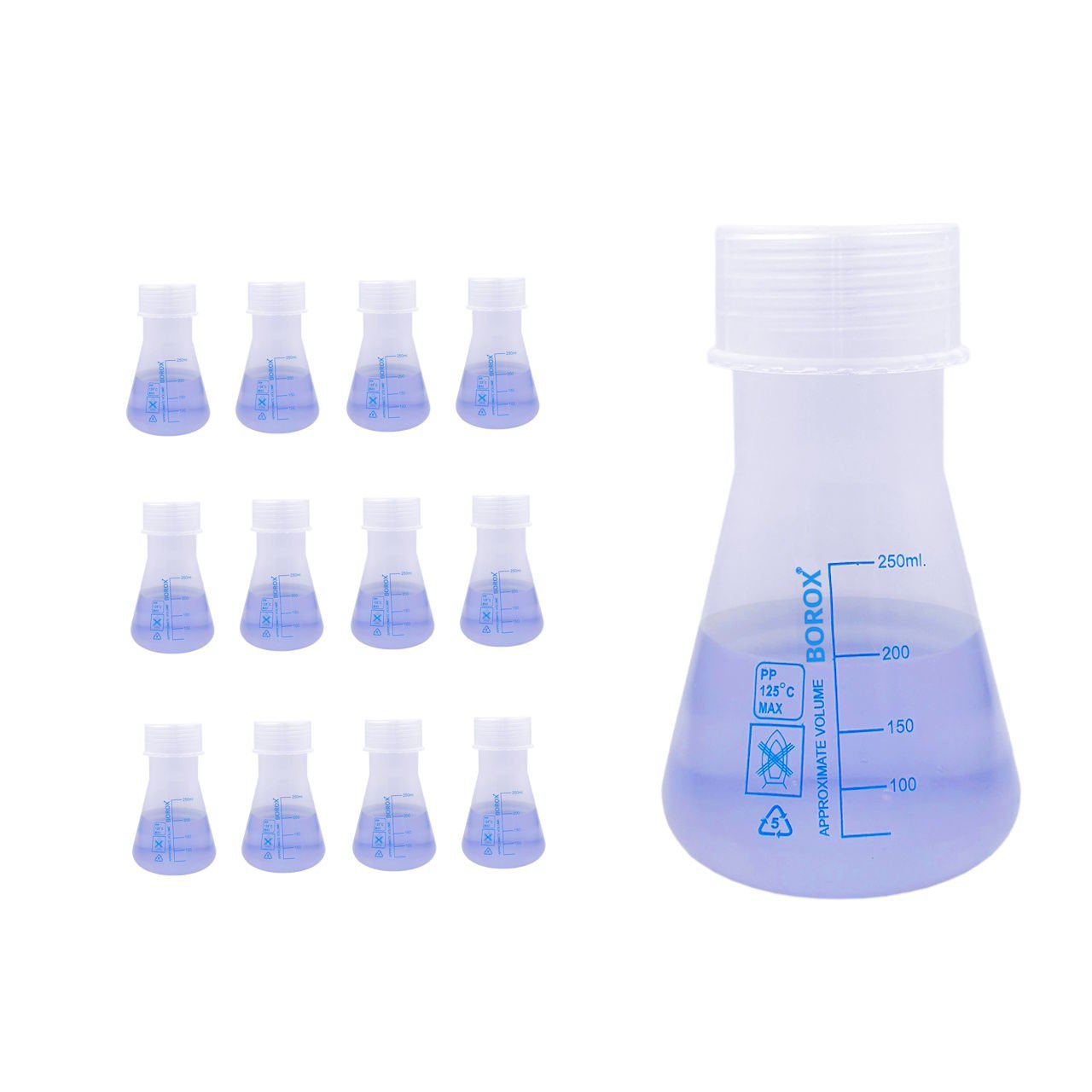Borox Plastik Erlen 250 ml - Erlenmeyer Flask Vida Kapaklı - Mavi Skala - 12 Adet Toptan