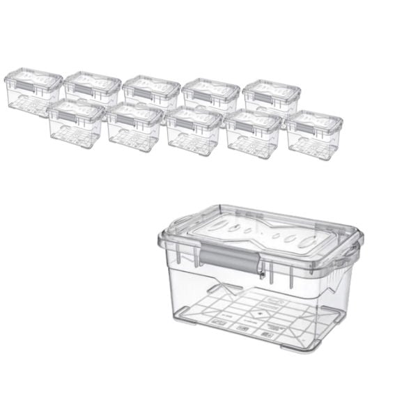 Borox Numune Saklama Kabı 3 L - Kilit Kapaklı Kutu 10 Adet