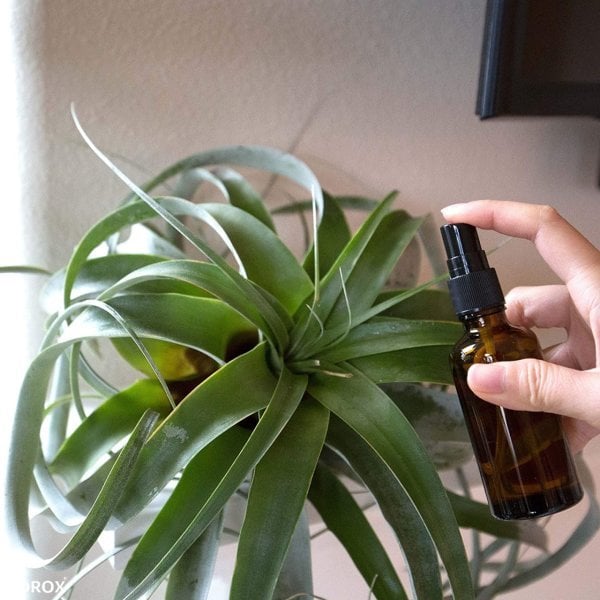 Borox Amber Cam Sprey Şişesi 100ml - Sprey Kolonya Şişe 100lü