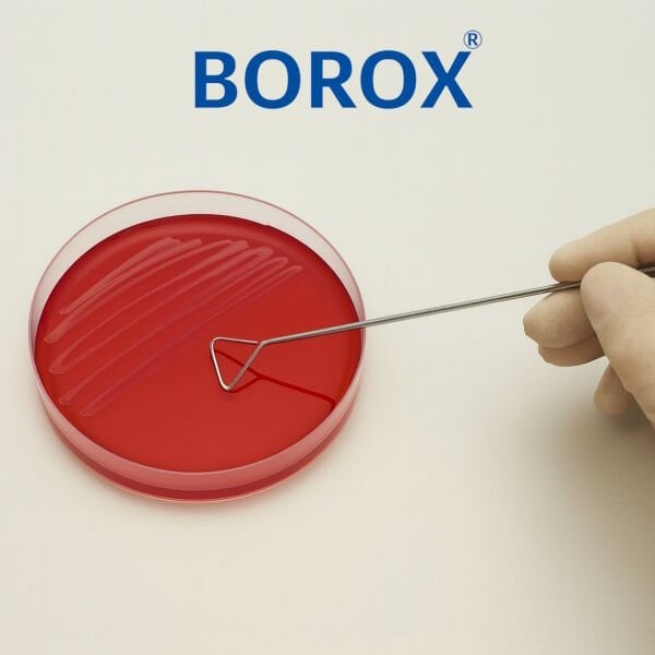 Borox Drigalski Çubuğu Spatül 30cm - Hücre Yayıcı - Paslanmaz Çelik Spatula