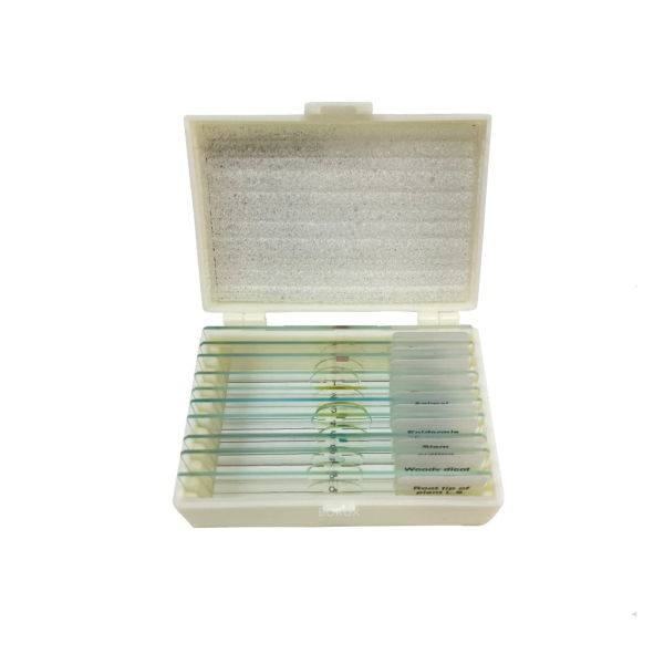 Mikroskop Slayt Seti - Plastik Kutulu - 10 Slayt