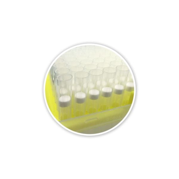 Borox Filtreli Pipet Ucu Steril 100-1000 µl - Uzun - 10 Adet Toptan