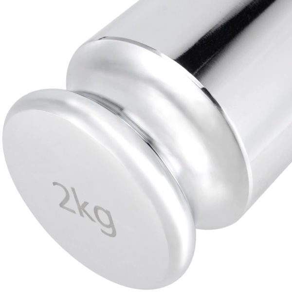 Borox Kalibrasyon Kütlesi 2 Kg - Paslanmaz Çelik F1 Etalon