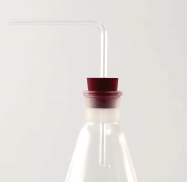 Borox Kauçuk Tıpa Delikli 17x22x25 mm - Kapak NS 19/26