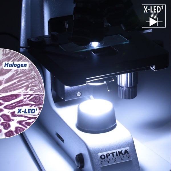 OPTIKA B-159 Binoküler Mikroskop 1000x - LED Laboratuvar ve Biyoloji Işık Mikroskobu