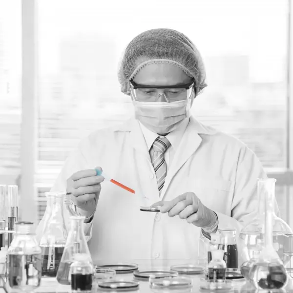 Borox Pastör Pipeti - Plastik Damlalık 0.5-1.0ml - 5000 Adet