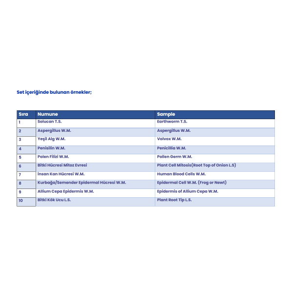 Mikroskop Slayt Seti - 10 Slayt - Bitkiler ve Böcekler