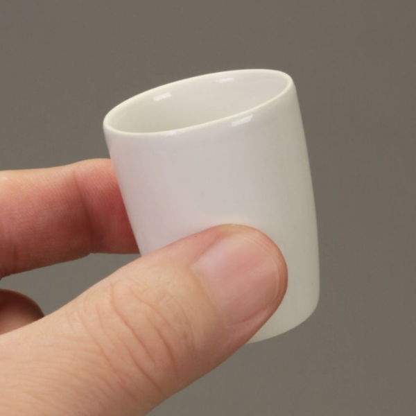 Borox Porselen Gooch Kroze - 40ml - Delikli Kroze - Filter Crucible