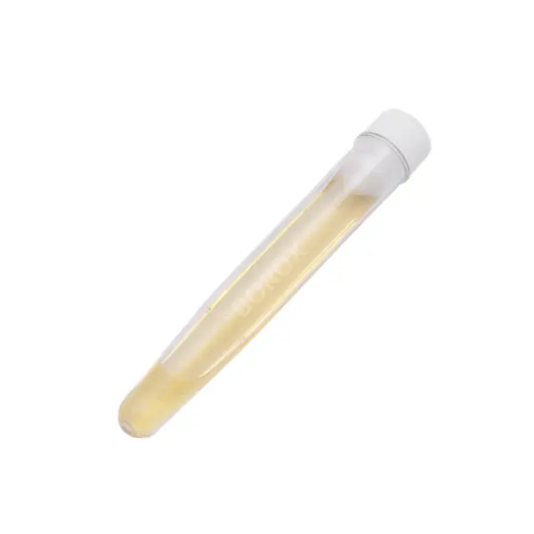 Plastik Test Tüpü Kapaklı 16x100mm - P.S Tüp 10ml Dibi Konik
