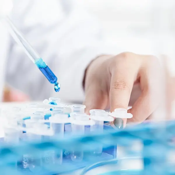 Borox Mikrosantrifüj Ependorf Tüpü 5ml - Yuvarlak Tabanlı - Özel Kilit Kapaklı - 100 Adet