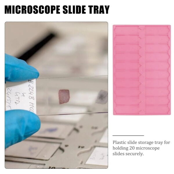 Mikroskop Slide Kutusu - Plastik Slayt Saklama Kabı 20li - Lamel Taşıma Standı Tray - Pembe