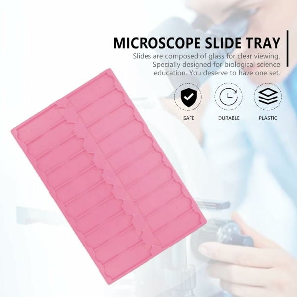 Mikroskop Slide Kutusu - Plastik Slayt Saklama Kabı 20li - Lamel Taşıma Standı Tray - Mavi