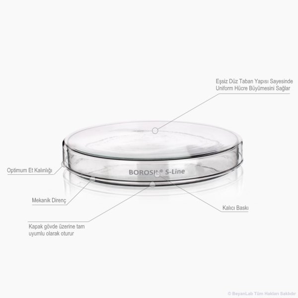 Borosil Cam Petri Kabı 200x30mm S-Line - Petri Kutusu 1 Adet