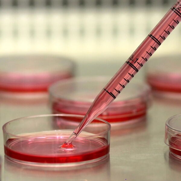 Serolojik Pipet 25ml - Steril Tek Kullanımlık 25Adet/Paket