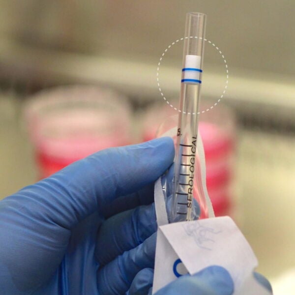 Serolojik Pipet 5ml - Steril Tek Kullanımlık 50Adet/Paket