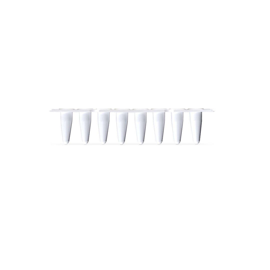 Borox PCR Tüp 0,1 ml Mat Beyaz - PCR Strip Tubes - 125 Adet