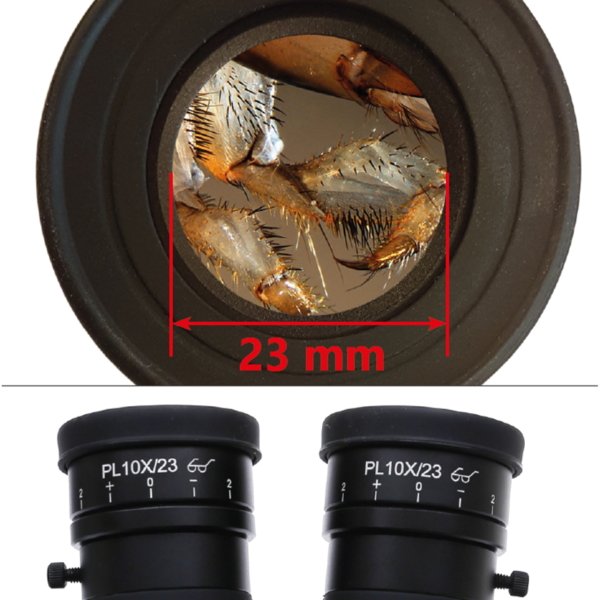 OPTIKA SZO-B Binoküler Stereo Zoom Mikroskop Başlık