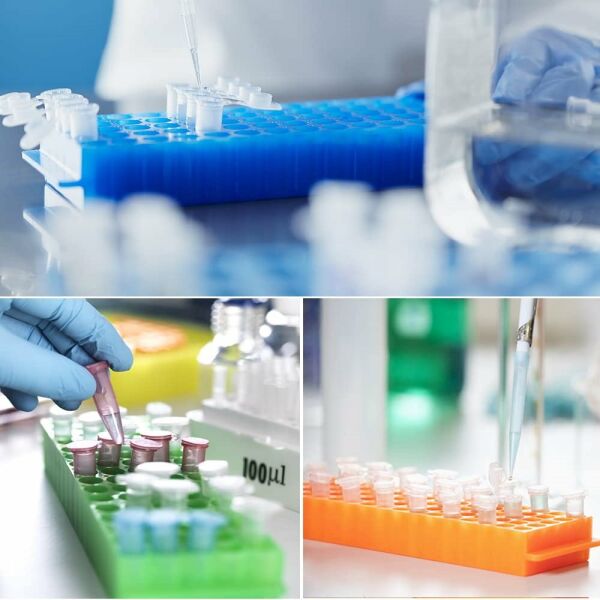 PCR Tüp Standı 0.2-0.5-1.5-2 ml İçin 60 Delikli Çift Taraflı -Eppendorf Tüp Standı - 10 Adet Toptan
