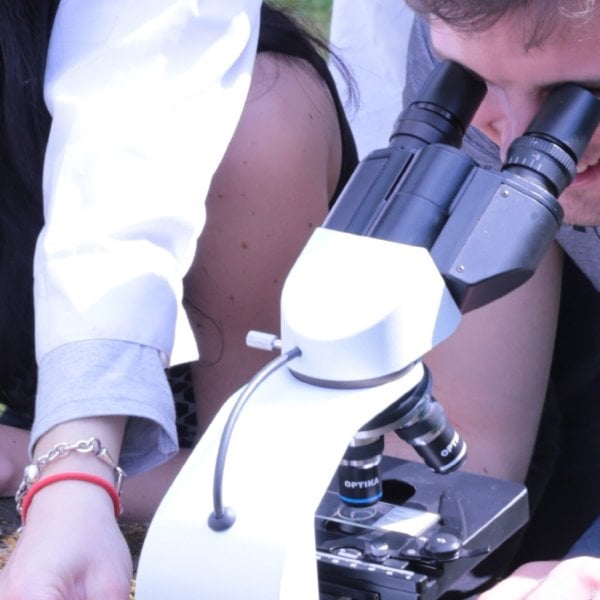 OPTIKA B-159ALC Binoküler Mikroskop 1000x - Otomatik Parlaklık Kontrollü LED Biyoloji Mikroskobu