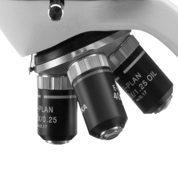 OPTIKA B-292PLi Binoküler Mikroskop 1000x - Araştırma Mikroskobu IOS Sistem