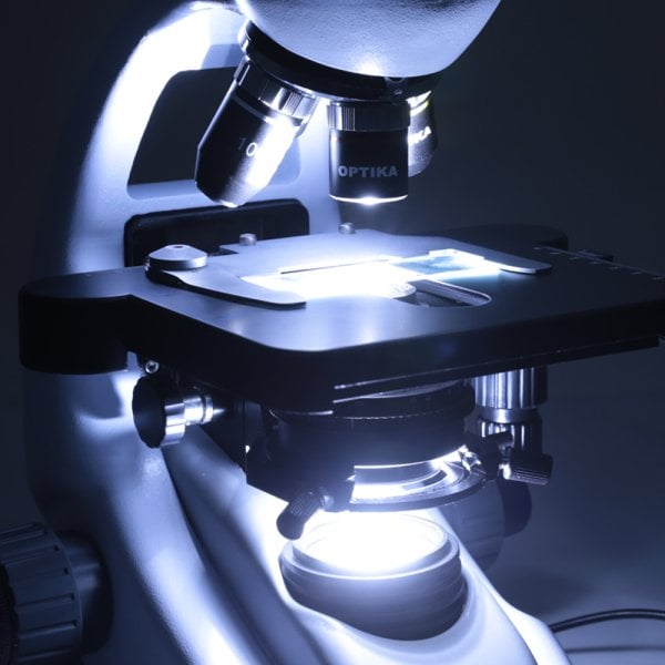 OPTIKA B-292LD1 Binoküler Floresan Mikroskop IOS - LED 1000x Araştırma Mikroskobu