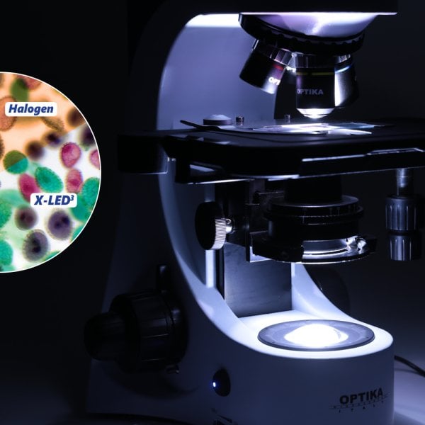 OPTIKA B-382PH-ALC | Faz-Kontrast Laboratuar Mikroskobu / Otomatik Işık Kontrollü