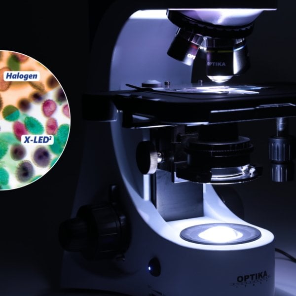 OPTIKA B-383PH Faz Kontrast Klinik Araştırma Mikroskobu - Trinoküler Mikroskop 1000x