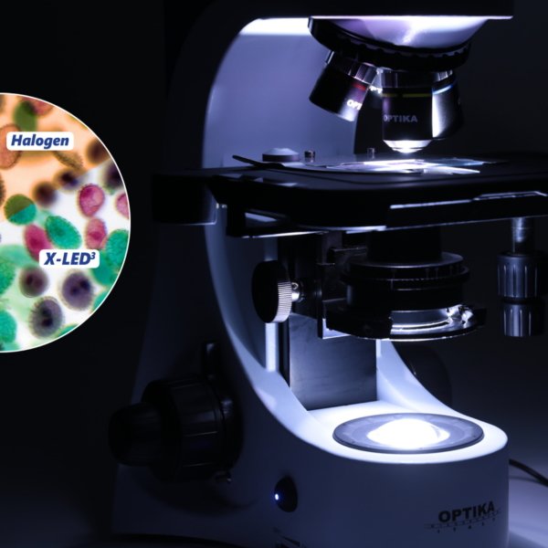 OPTIKA B-383PH Faz Kontrast Klinik Araştırma Mikroskobu - Trinoküler Mikroskop 1000x