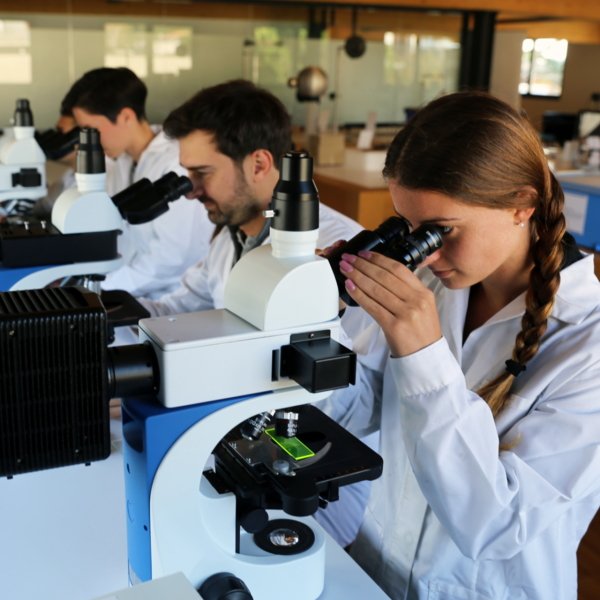 OPTIKA B-382PL-ALC Binoküler Mikroskop 1000x Büyütmeli - Otomatik Işık Kontrollü