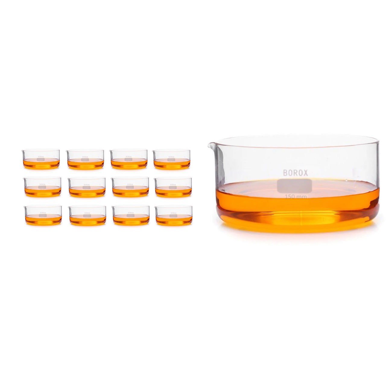 Borox Cam Kristalizasyon Kutusu 150x75mm - Kristalizuar Kabı - 12 Adet Toptan