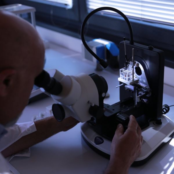 OPTIKA OPTIGEM-20 Trinoküler Gemoloji Mikroskobu - Mücevher Analizi İçin Mikroskop